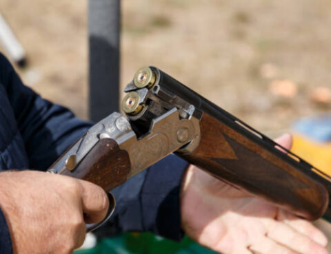 Regaining Your Right to Bear Arms Steps for Restoring Firearms Ownership