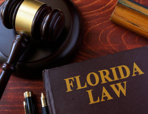 Baker act in Florida